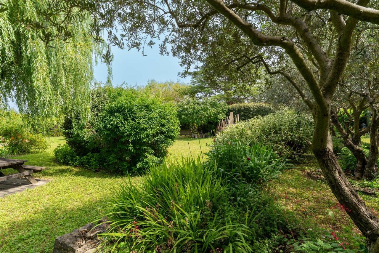 Villa La Mireio 马洛塞讷 外观 照片