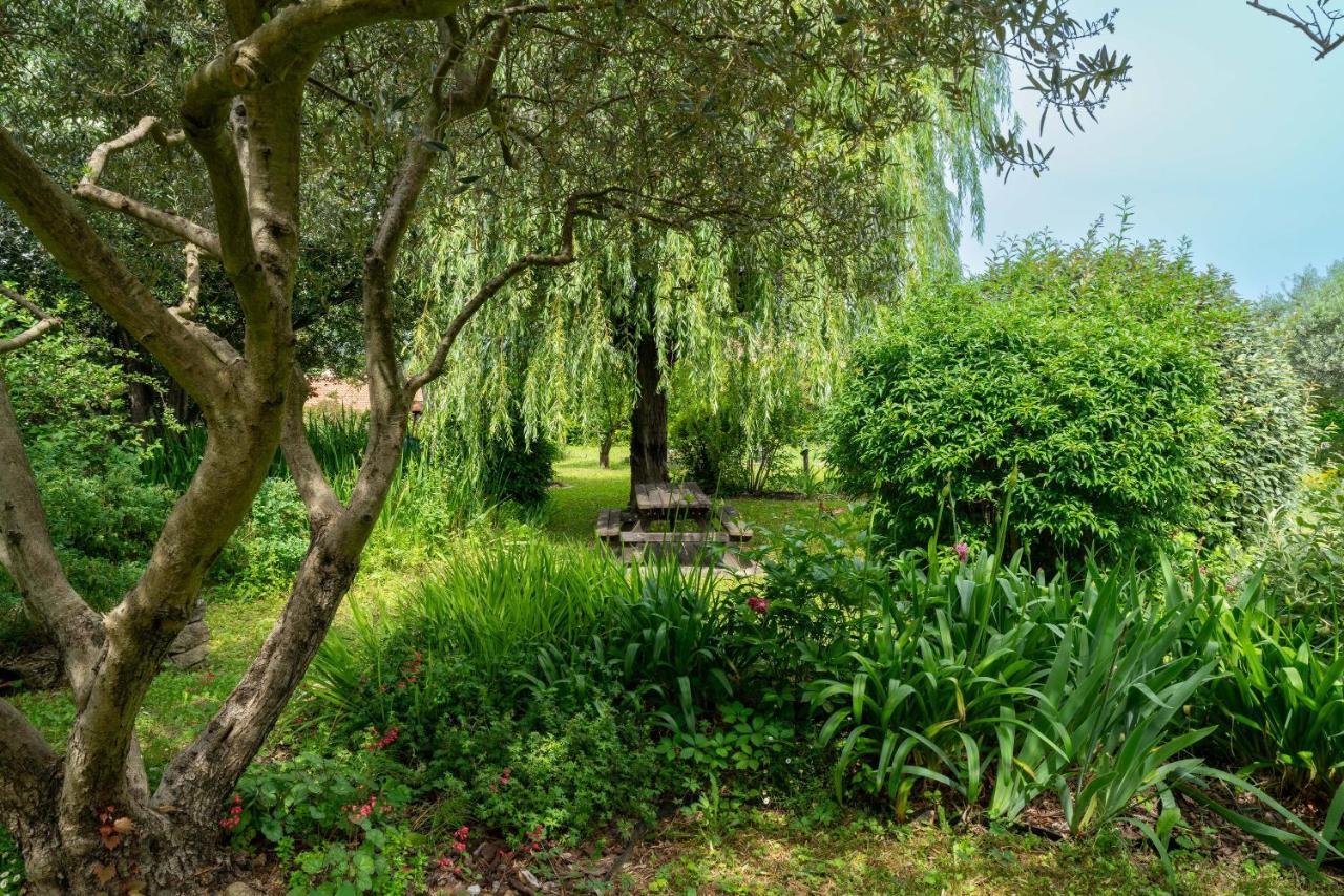 Villa La Mireio 马洛塞讷 外观 照片